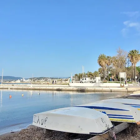 Riviera Palm *
